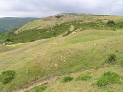 
Tramway from Tyla North Quarry to Gilwern Hill Quarry, July 2010